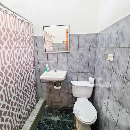 Cabinas Coco Alegre