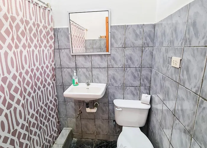 Cabinas Alegre Hotel Coco
