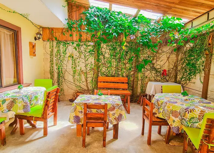 Cabinas Alegre Hotel